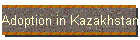Adoption in Kazakhstan