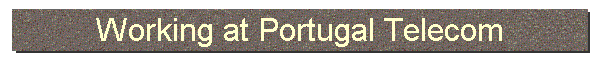 Working at Portugal Telecom